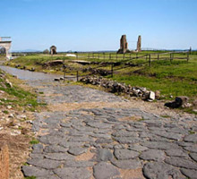 Колонны владимирского храма XII века выдали происхождение его строителей